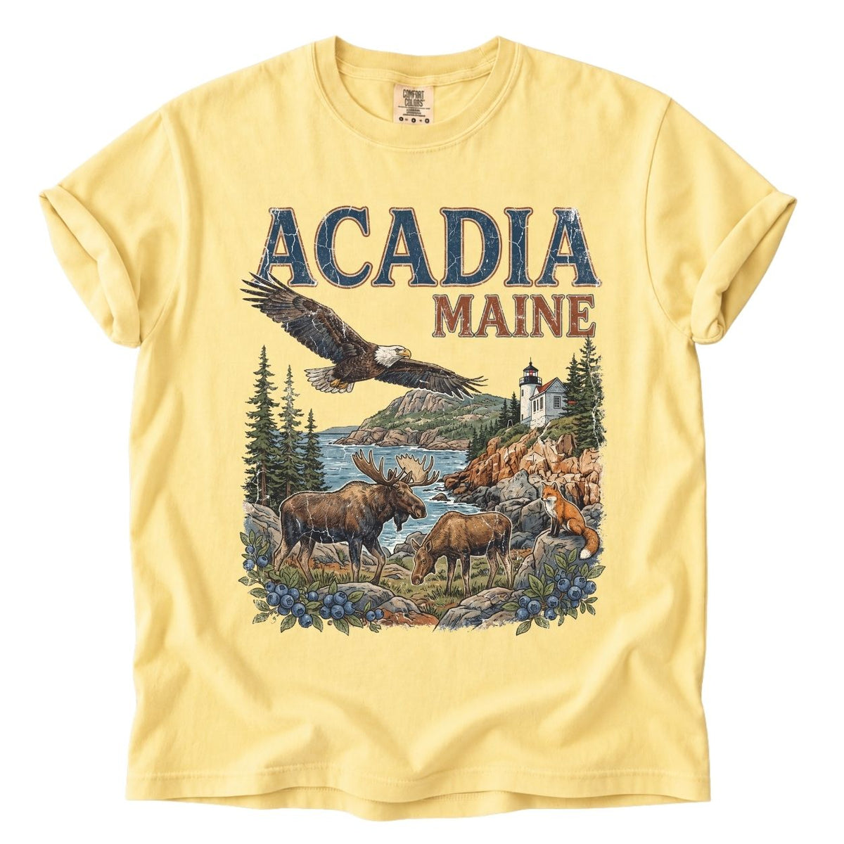 Acadia National Park Premium