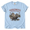 Chambray