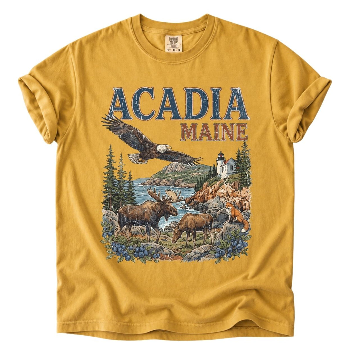 Acadia National Park Premium