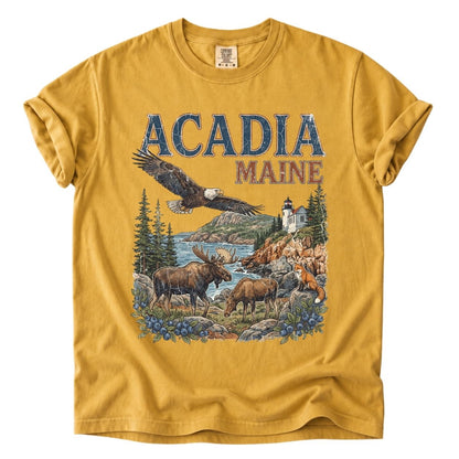 Acadia National Park Premium